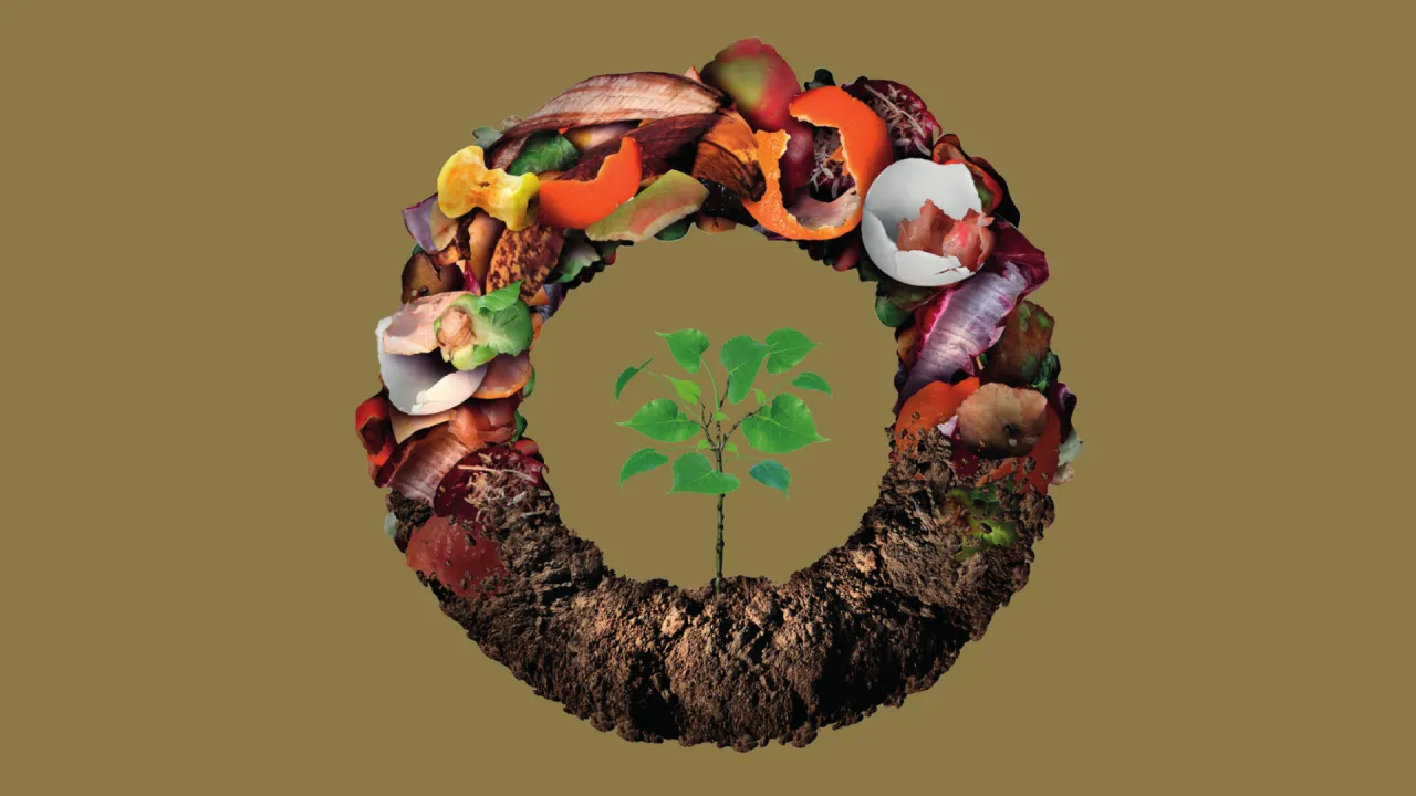 Distribution gratuite de compost et participation à la semaine nationale « Tous au compost »
