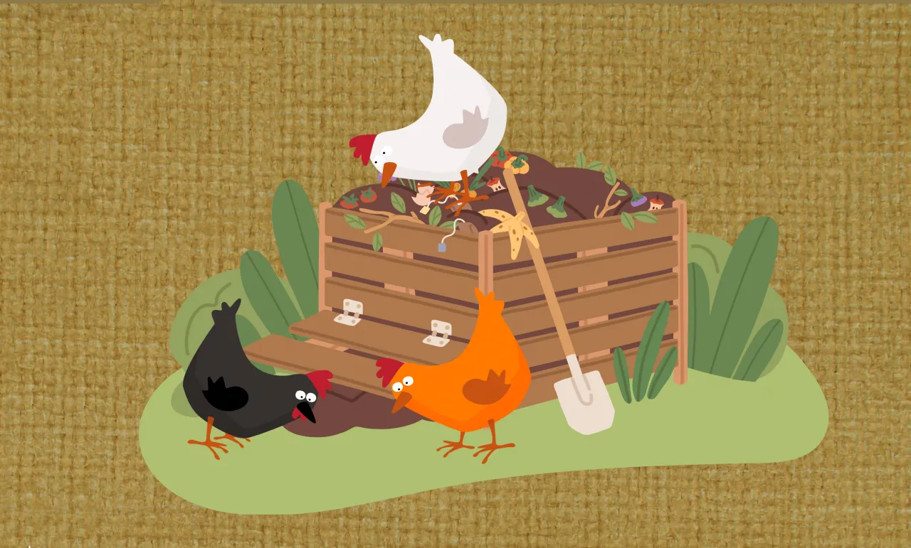 Des poules pour réduire les déchets !