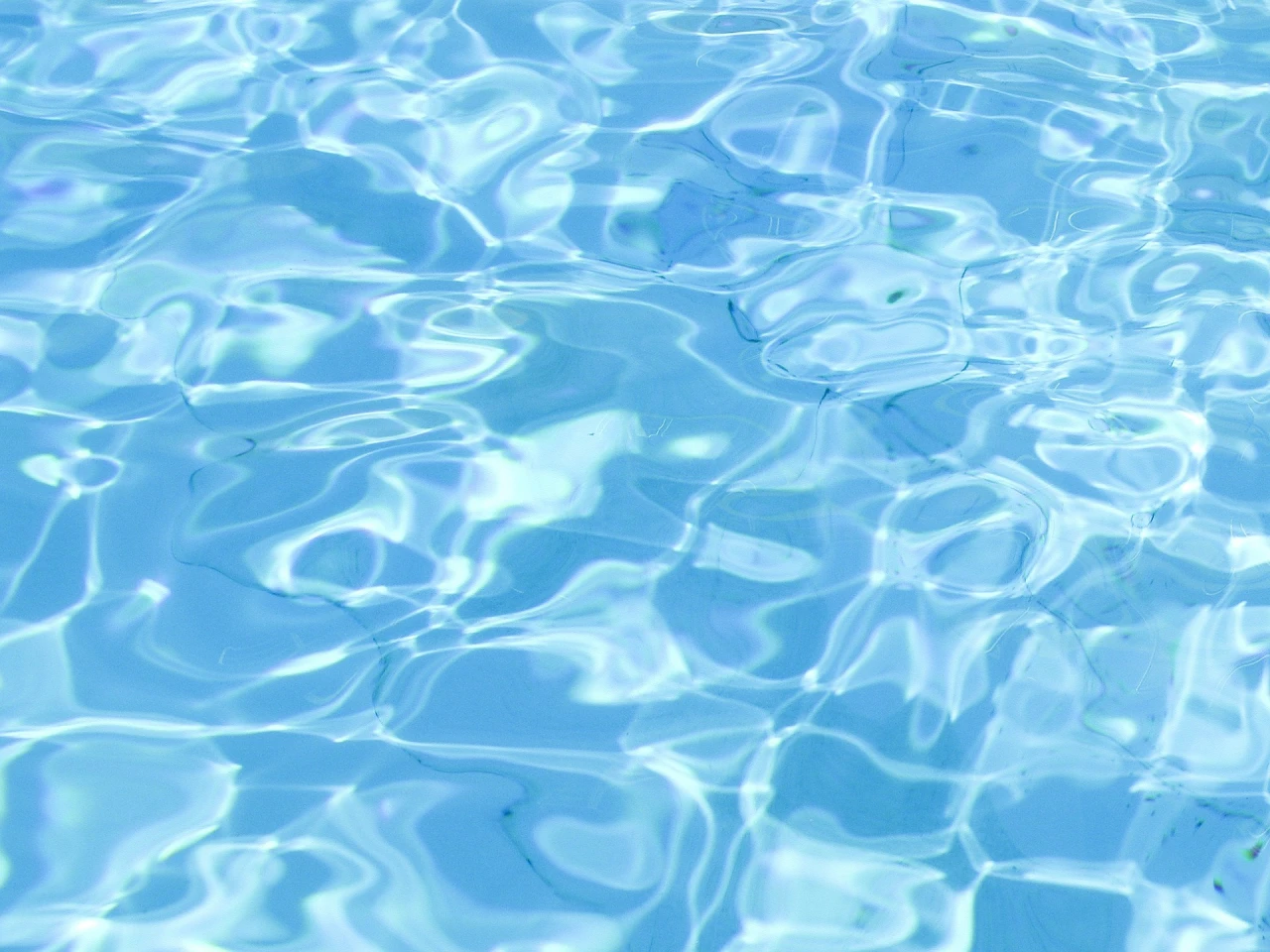 Réouverture de la piscine Régis Fermier !