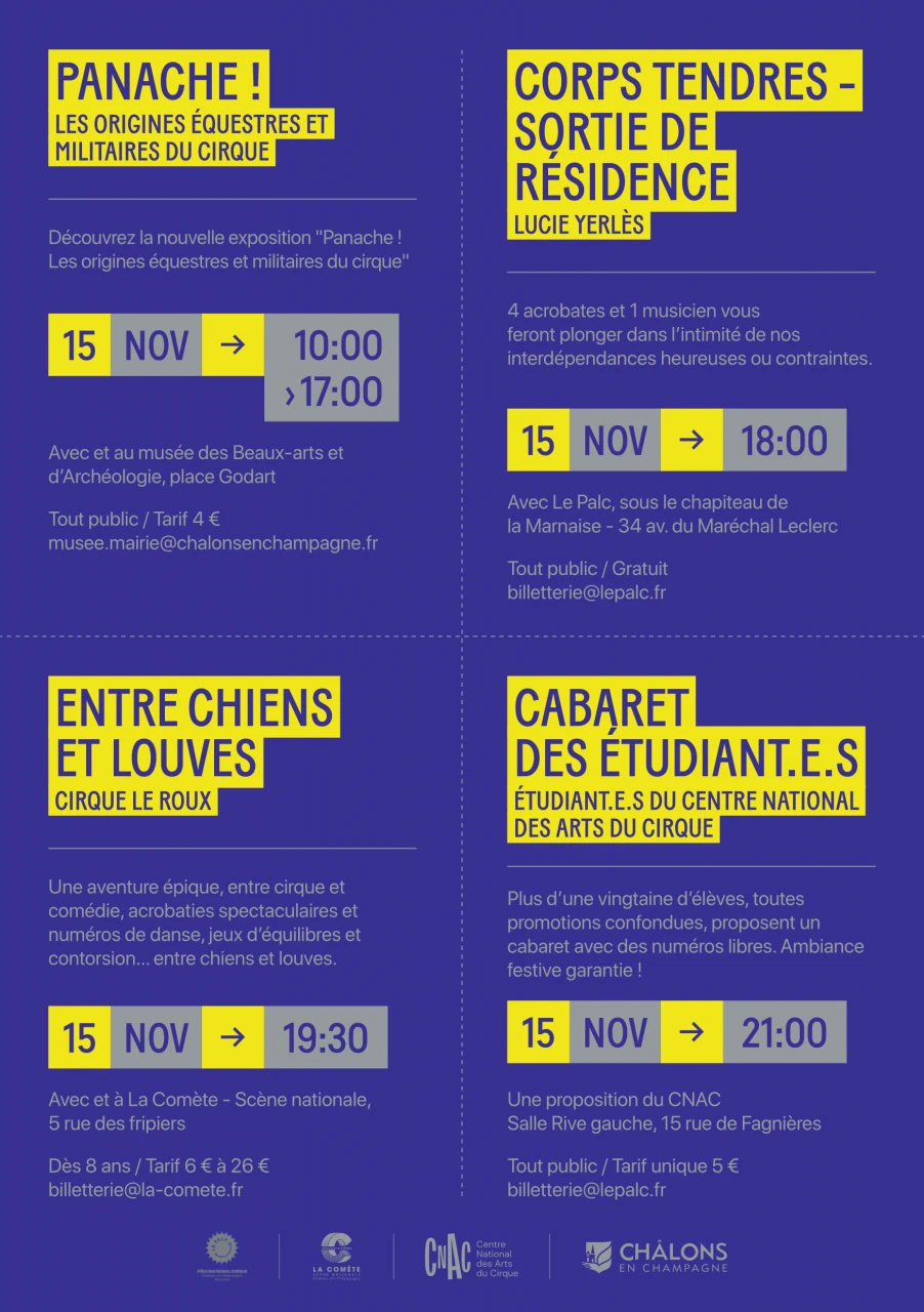 nuit%20du%20cirque%20chalons%20en%20champagne_poster2