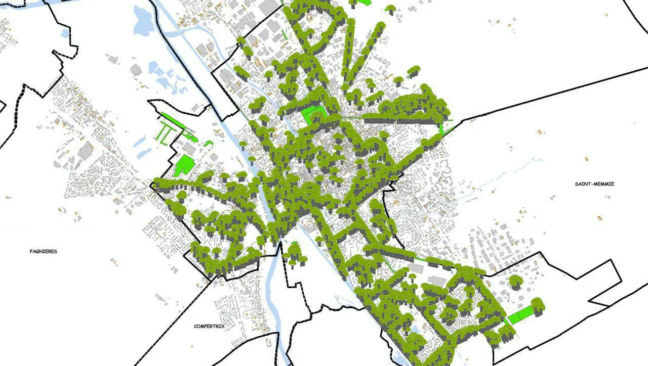 Plan arbre : 1 arbre par habitant d'ici 2026