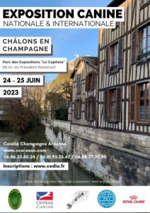 Exposition Canine Internationale