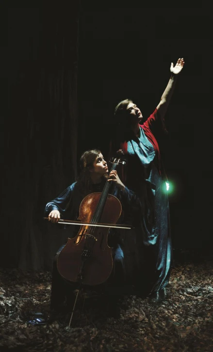 Spectacle : Birds on a wire