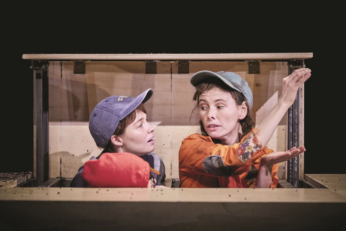 Spectacle : Je suis trop vert