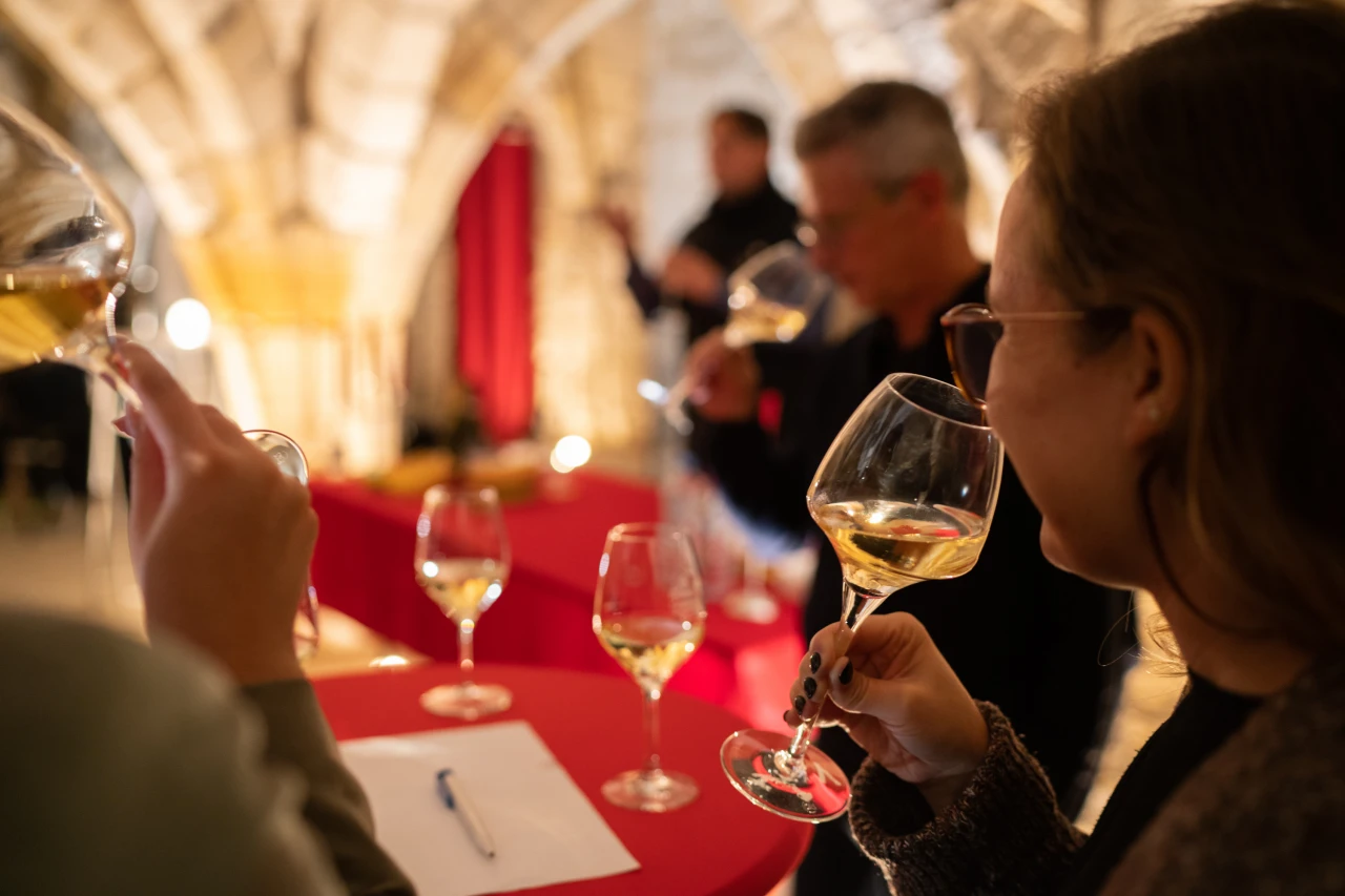 Vignobles en Scène : Découverte des Coteaux Champenois