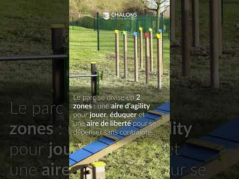 Le parc canin de Châlons est officiellement ouvert ! 🐶✨