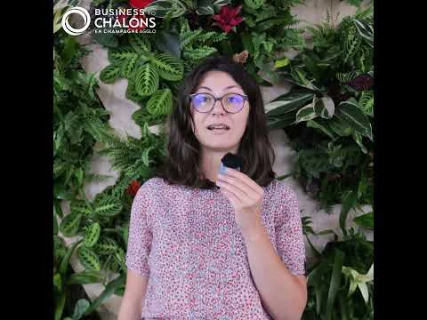 Par quoi avez vous été surpris à Châlons-en-Champagne ?