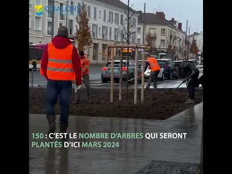 Place aux plantations sur l'îlot Notre-Dame !