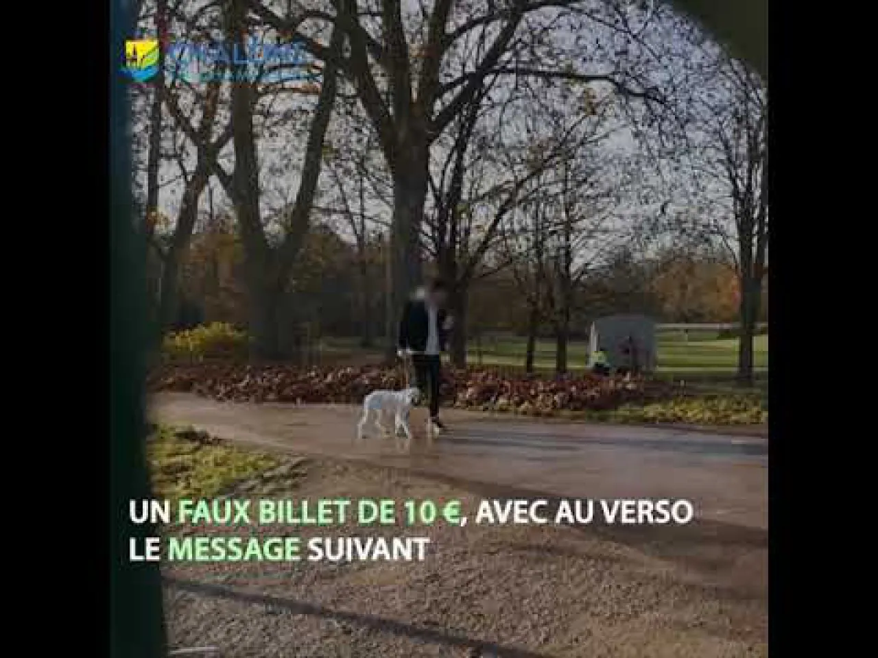 Sensibilisation au ramassage des déjections canines dans les espaces publics