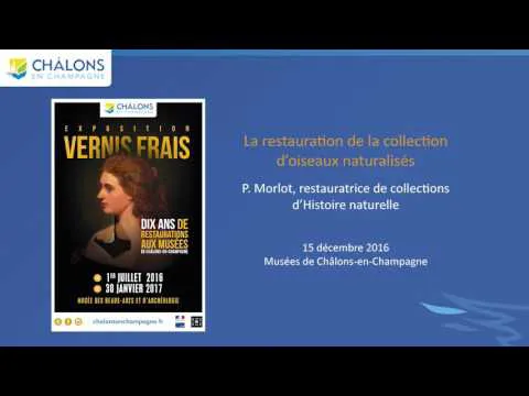 Rencontre avec Pauline Morlot